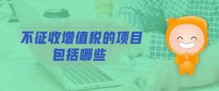 13個不征增值稅的項(xiàng)目規(guī)定